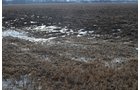 Property photo 15 - East Allen County Land Auction - 40 Acres in 2 Tracts